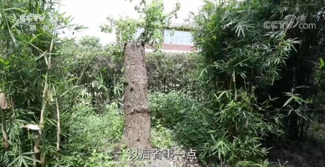 女子穿和服做核酸檢測遭勸阻，必須“換了衣服再來”？